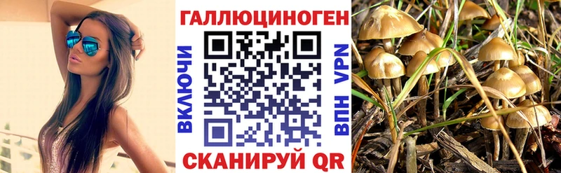 цена   мега онион  Псилоцибиновые грибы прущие грибы  Далматово 